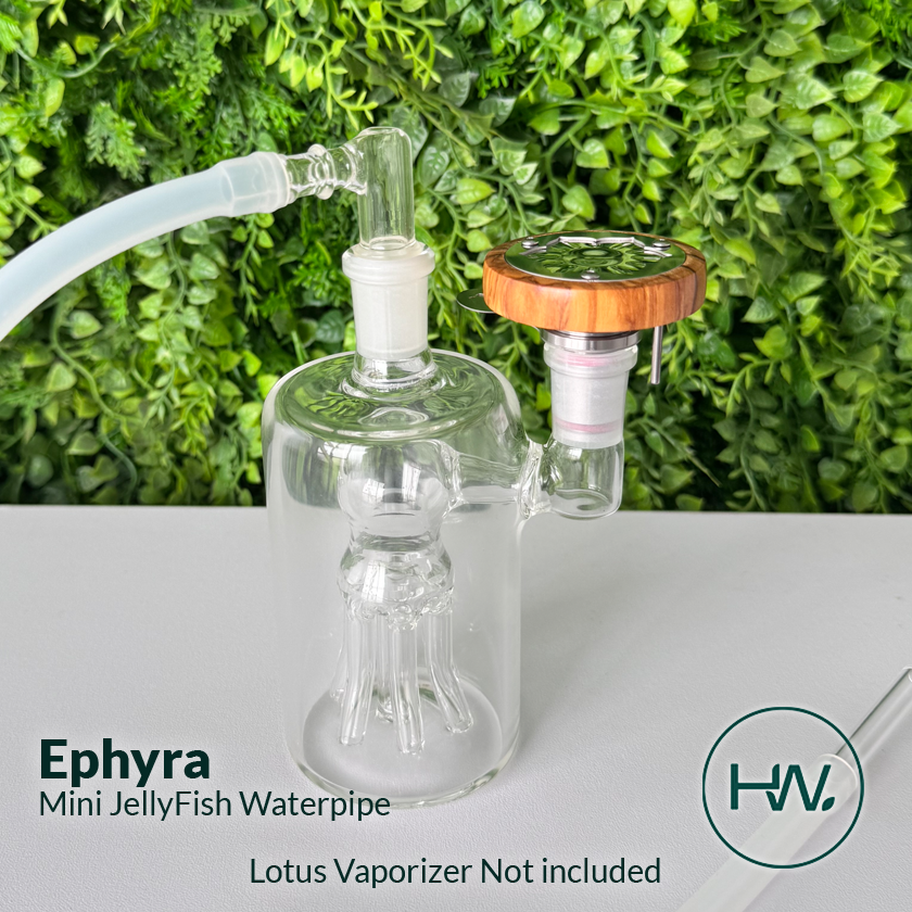 Ephyra Mini Jellyfish Waterpipe - Herbware, Victoria Australia