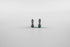 Battery Free Ganz Titanium Mouthpiece - Herbware Melbourne, Australia