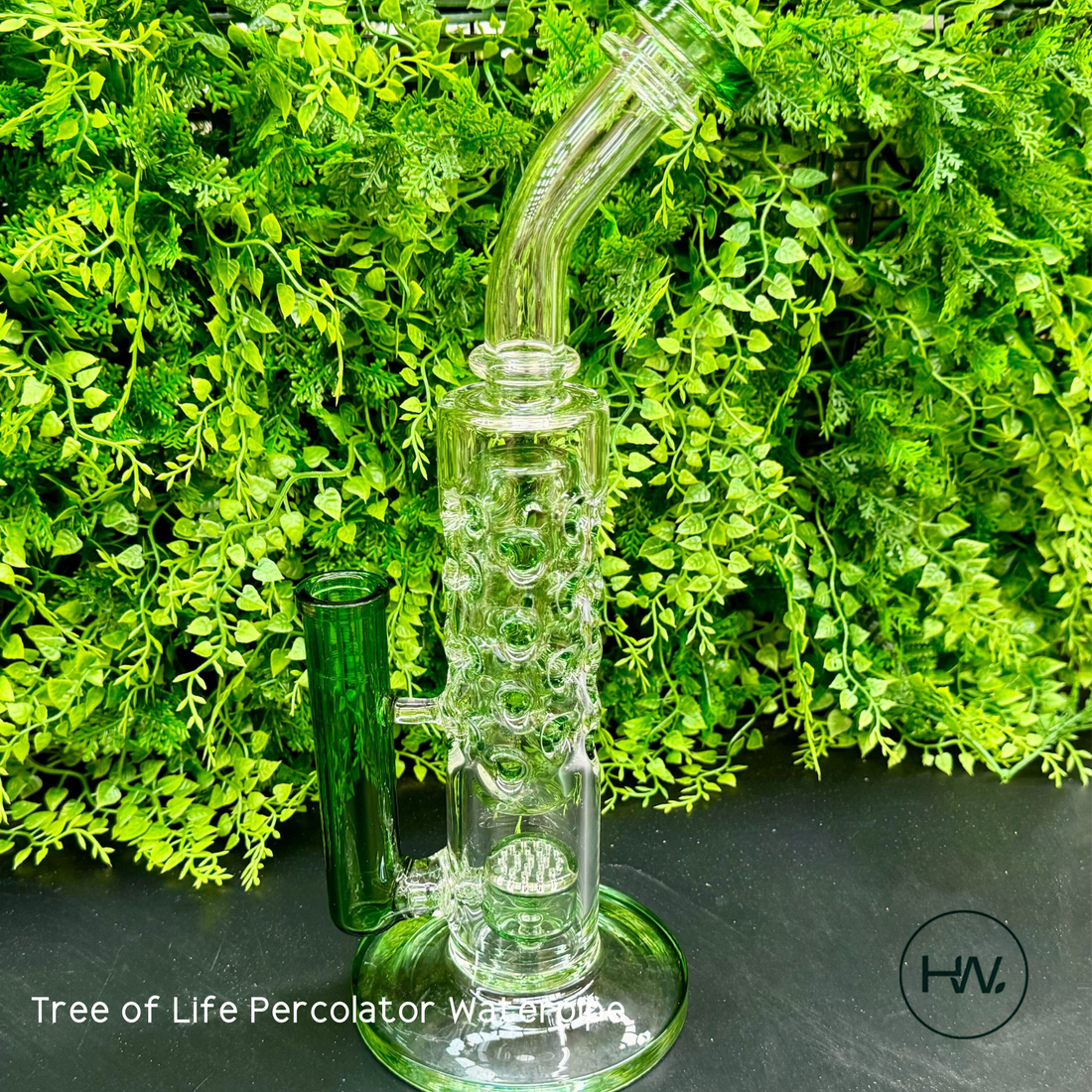 Tree of Life Perc Waterpipe - [Herbware, Melbourne Australia]